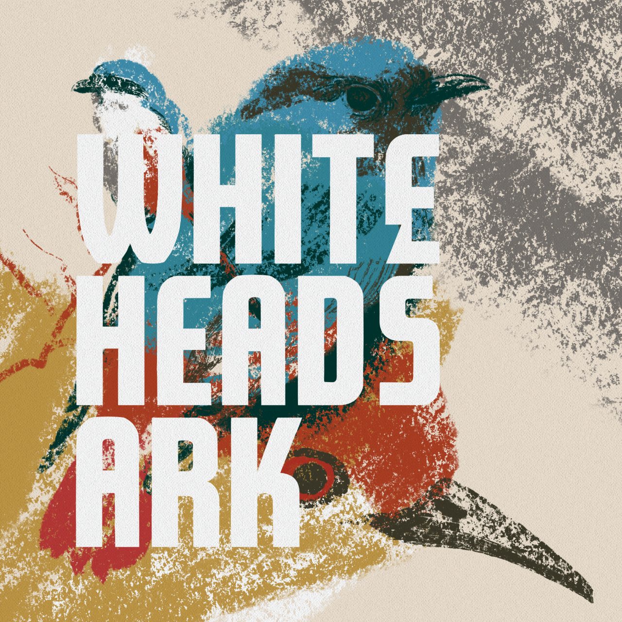 The Creative Team of Whitehead’s Ark